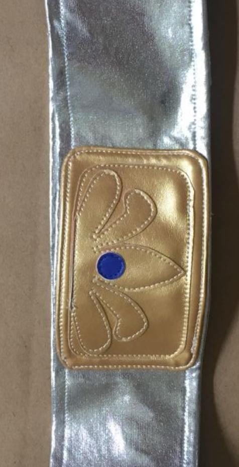 Halloween Special giga Super Team Tights costume Women Team Cosplay zentai suit