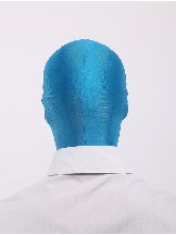 Zentai Unicolor Unisex Lycra Spandex Hoods