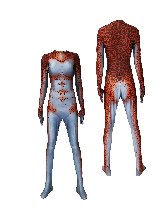 Supply Halloween Adult children movie women Predator cosplay bodysuit zentai suit
