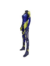 The game role-playing Boston Rising Team cosplay Zentai Catsuit one-piece Costume