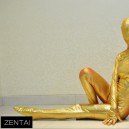 Girly Stage Performance Clothing Golden Coat Fullbody Tights Tights Full body Zentai Suit