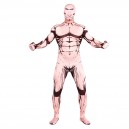 Supply Attack on Titan Full Body Halloween Spandex Holiday Unisex Cosplay Zentai Suit