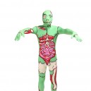 Light Green X-ray Human Anatomy Full Body Halloween Spandex Holiday Unisex Cosplay Zentai Suit