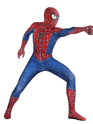 3D Printed Remitoni Spider Halloween Cosplay Zentai Suit - Remy 02 split